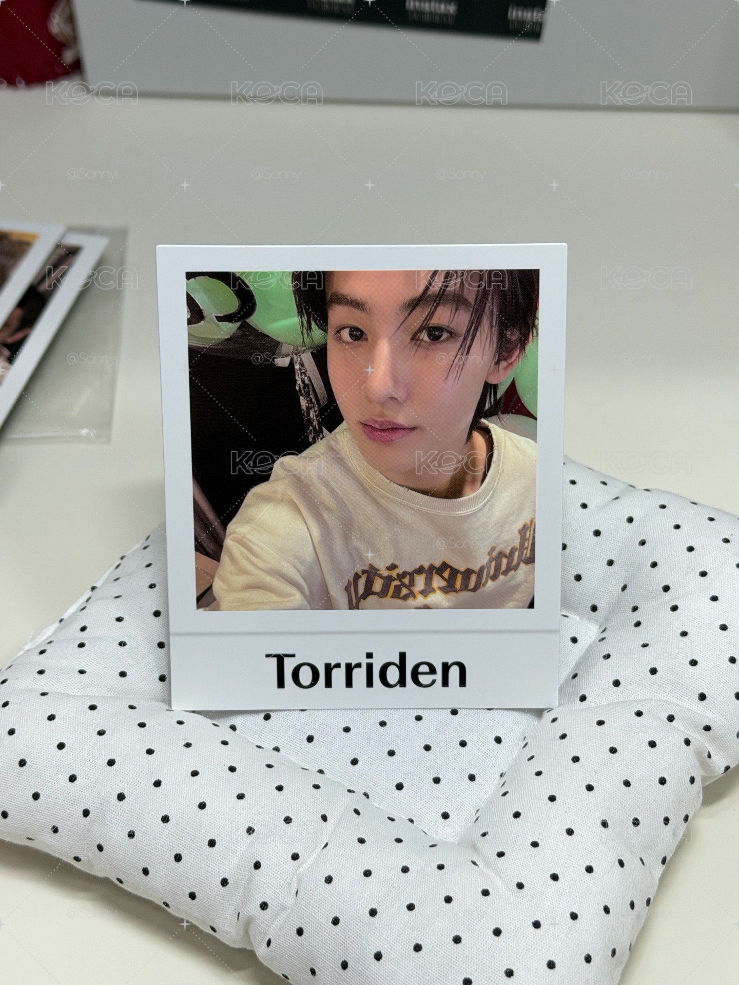Torriden代言卡