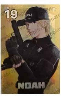 19諾亞💜閃卡
