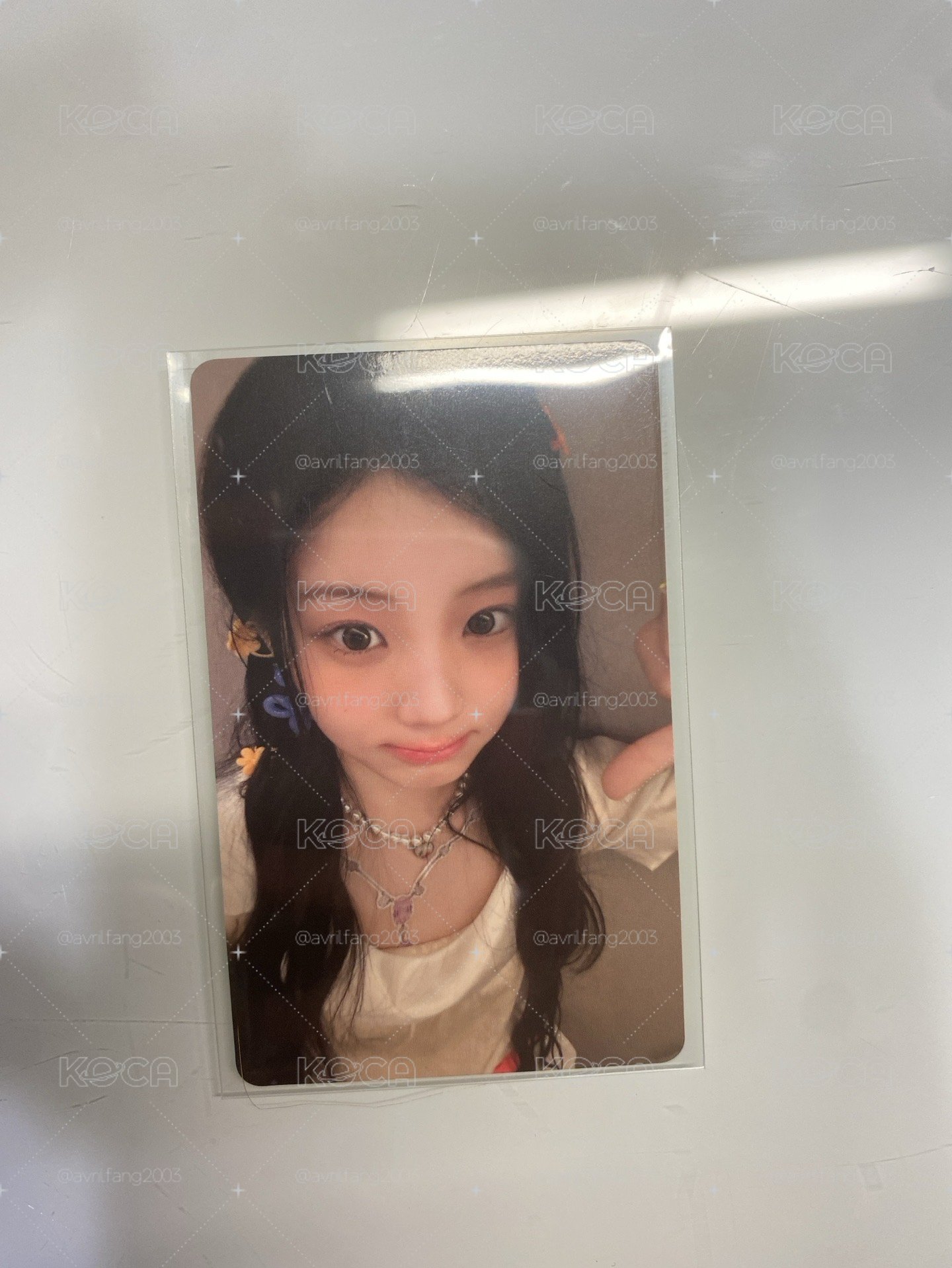 Wonhee環球預售
