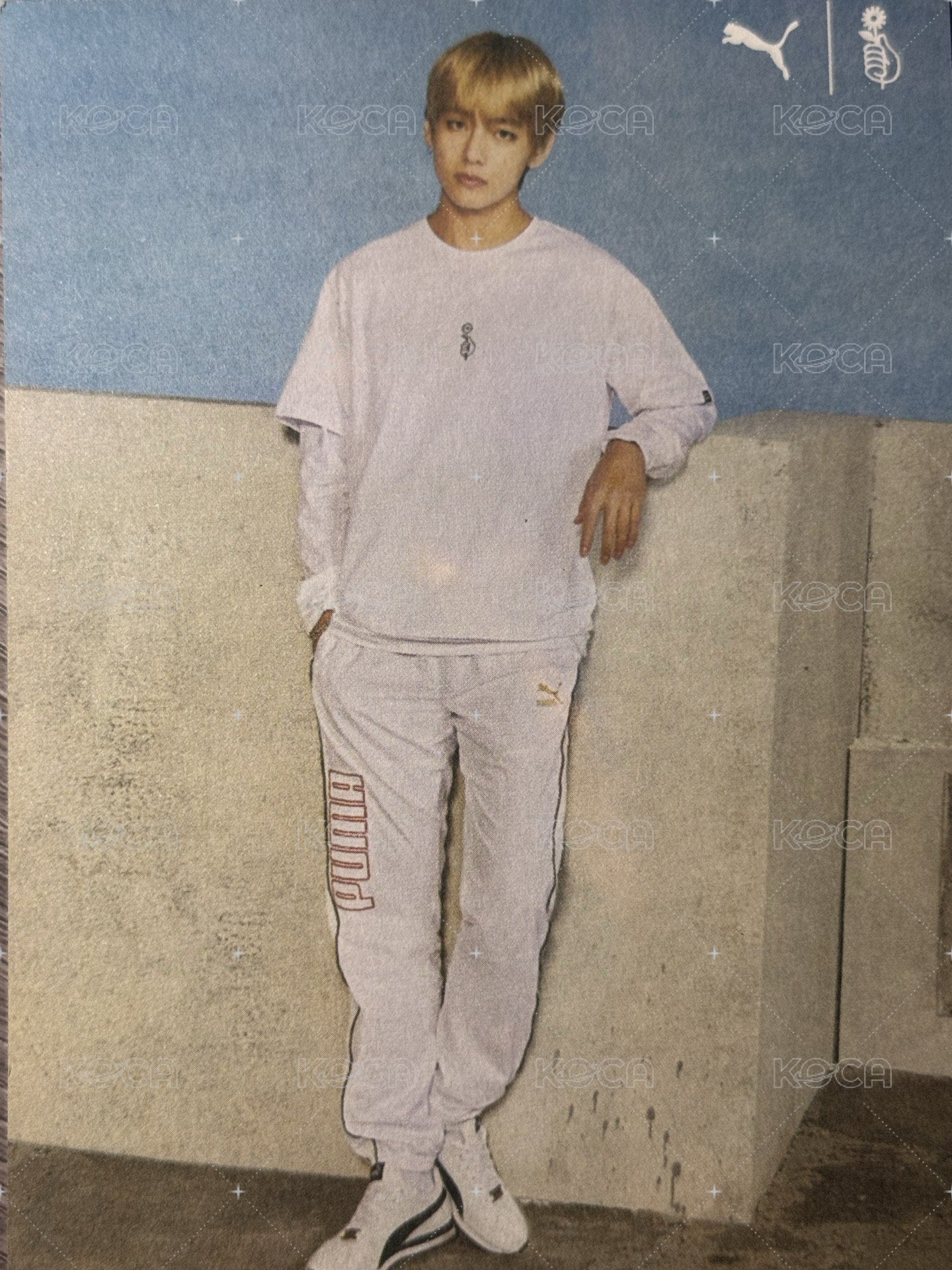 PUMA 明信片  背面