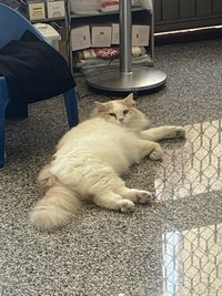 7222