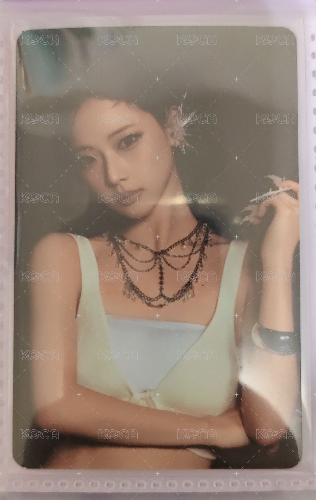 黑背露