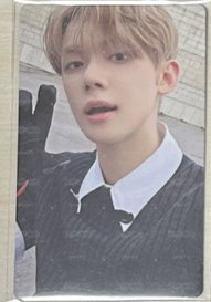 迷七wvs特典竣