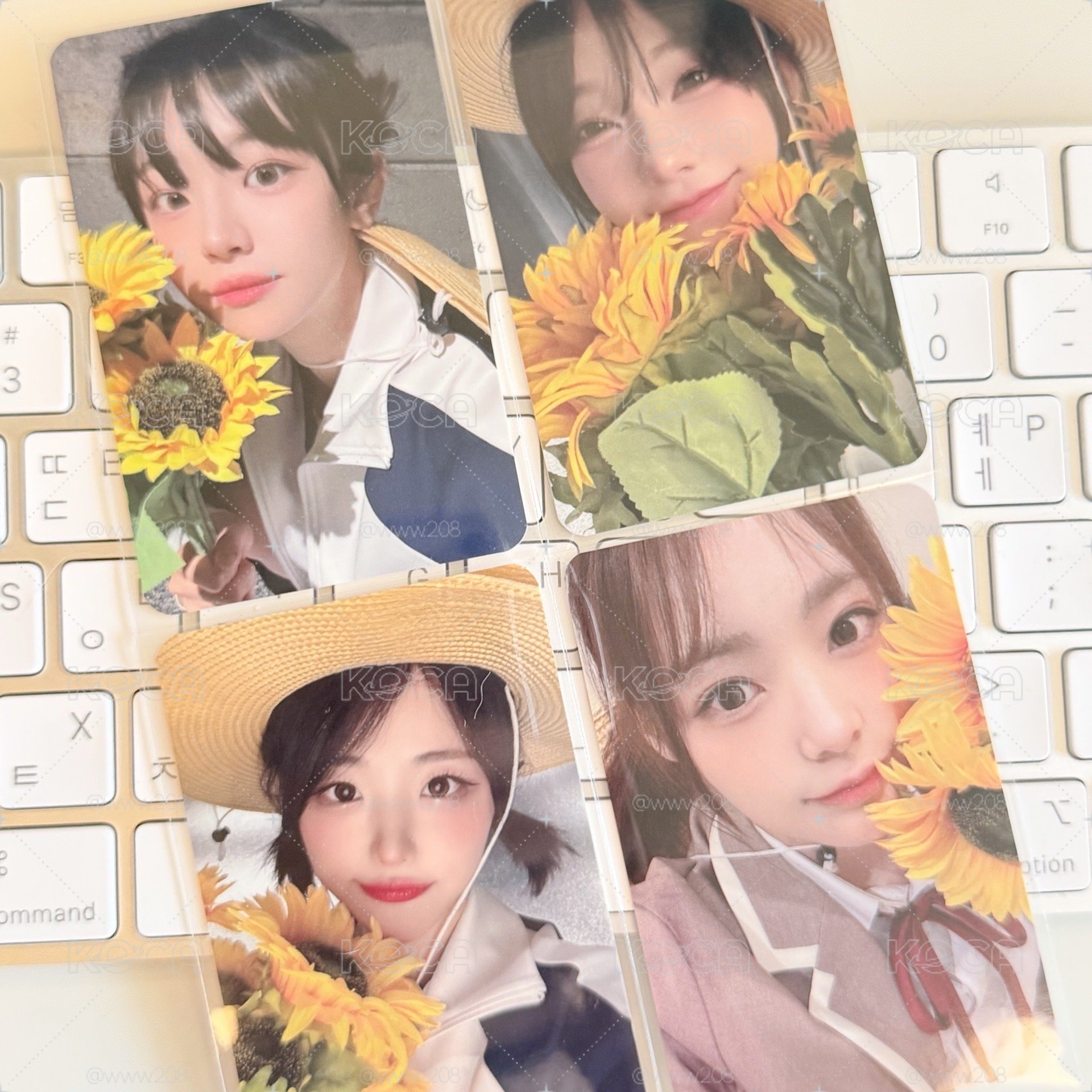 QWER 向日葵🌻一套