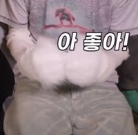 nmchoco