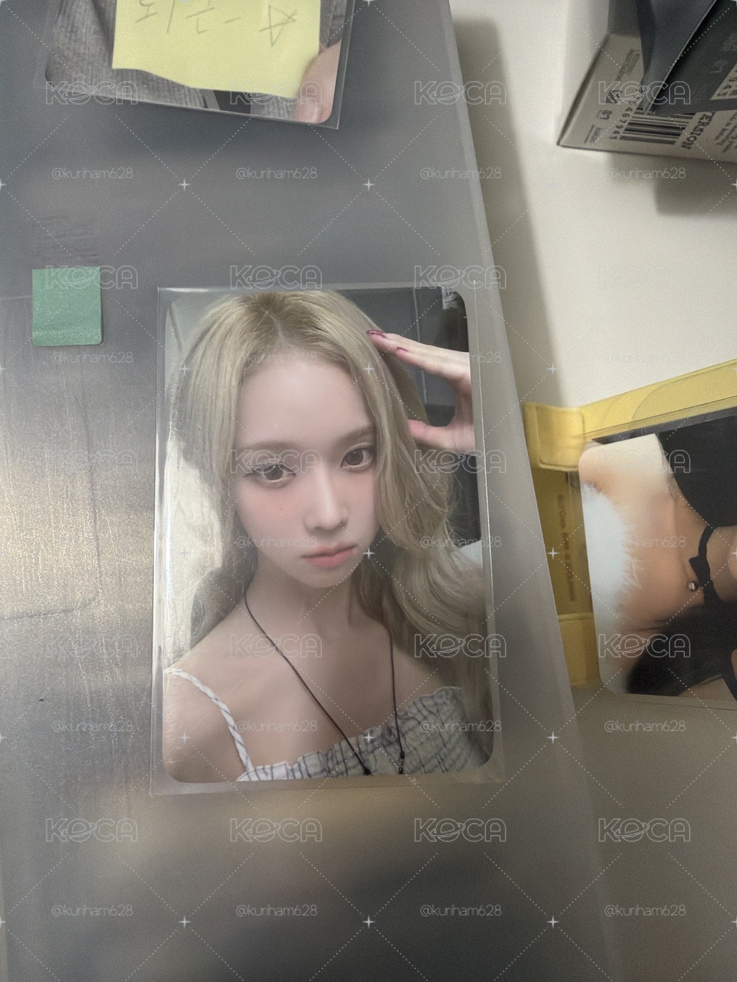 狗耳冬