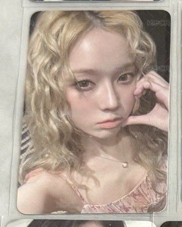 澳門冬
