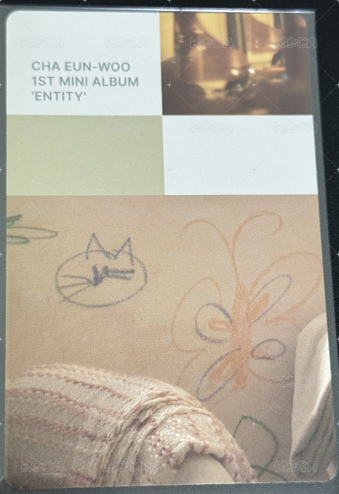 ENTITY 專輯卡  背面