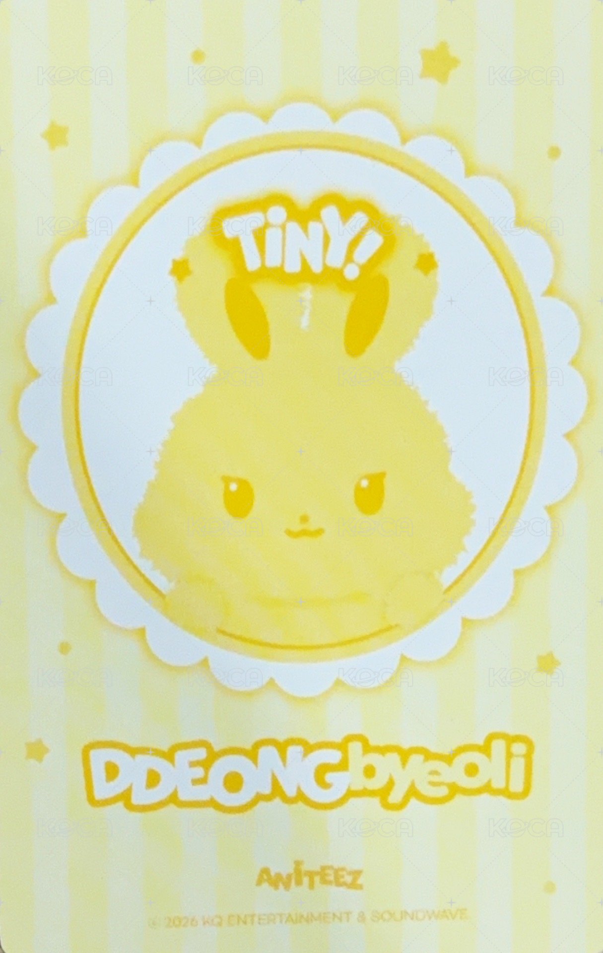 ANITEEZ IN COLOR 周邊卡 COLOR TINY ANITEEZ DOLL 背面