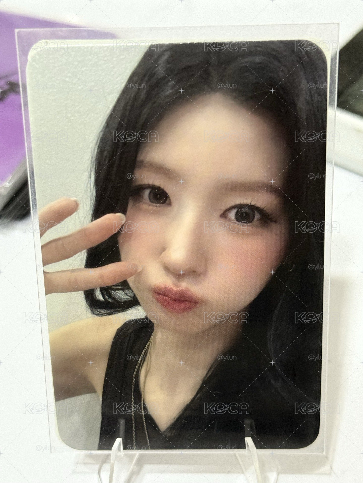 美美的br麵