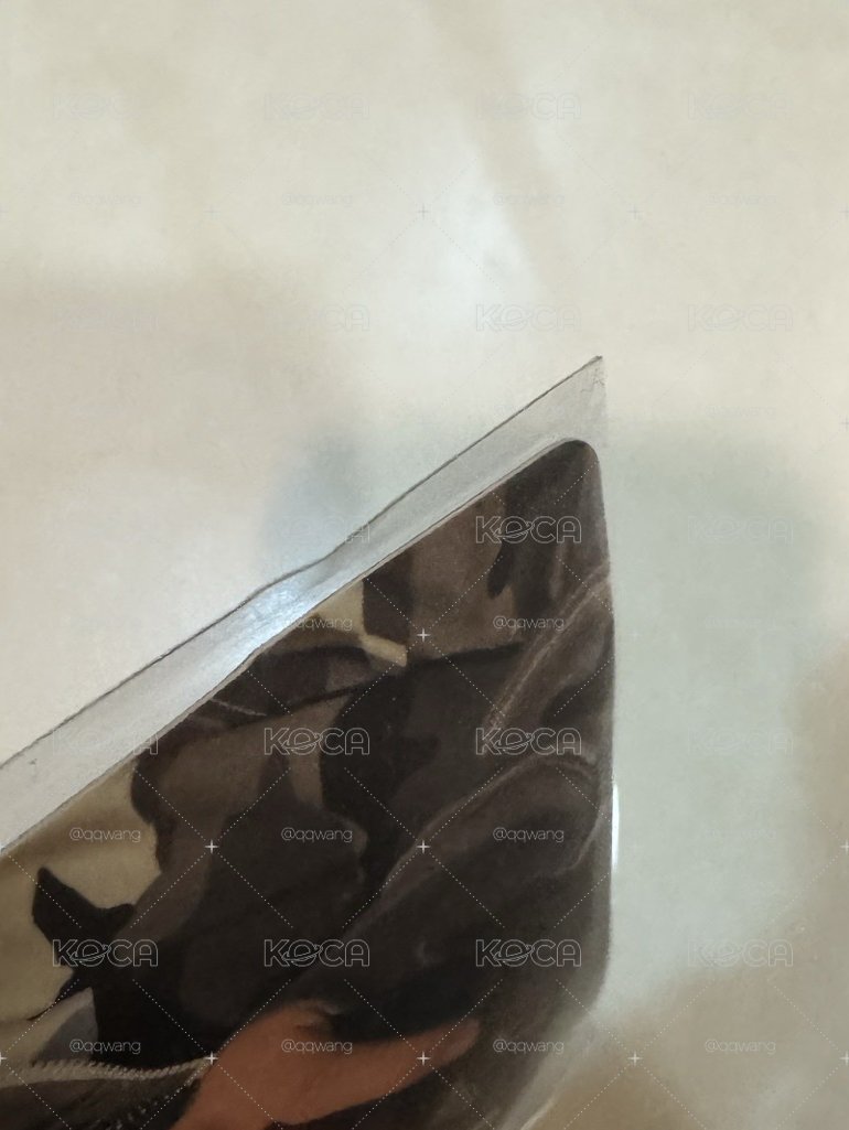 WVS sc特典卡 馬丁