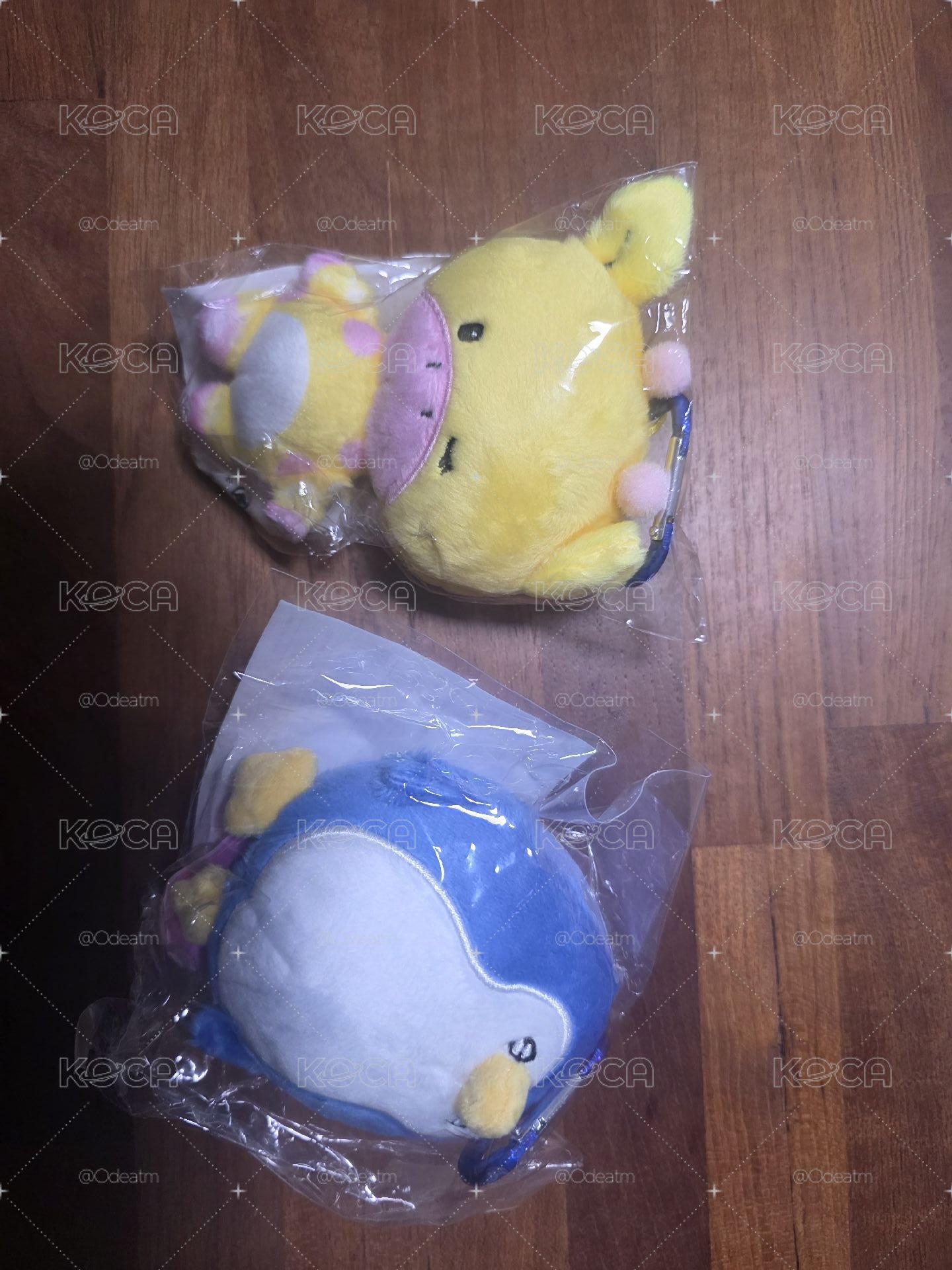 日巡忙內組合