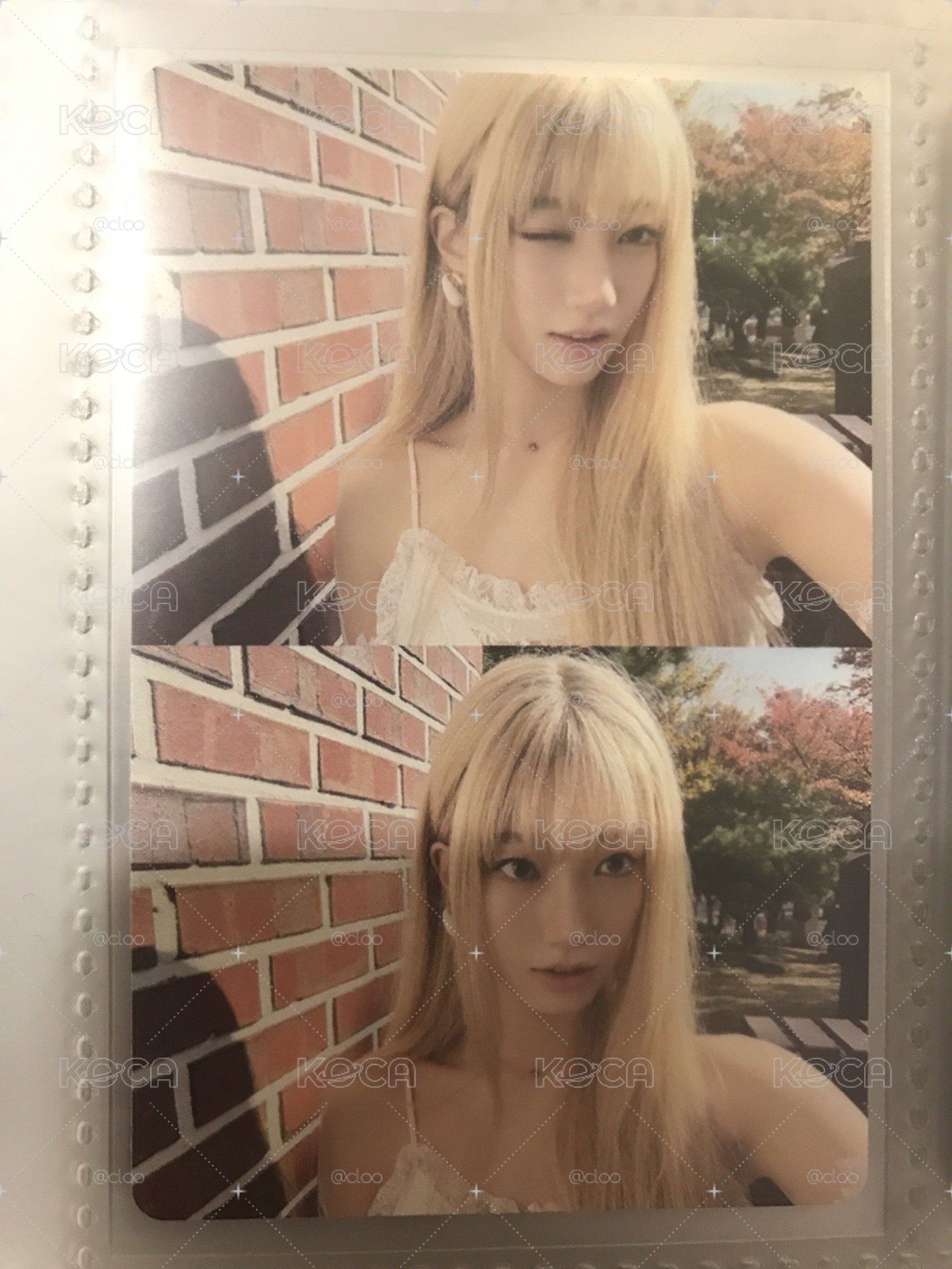 中村一葉 HOT 專卡