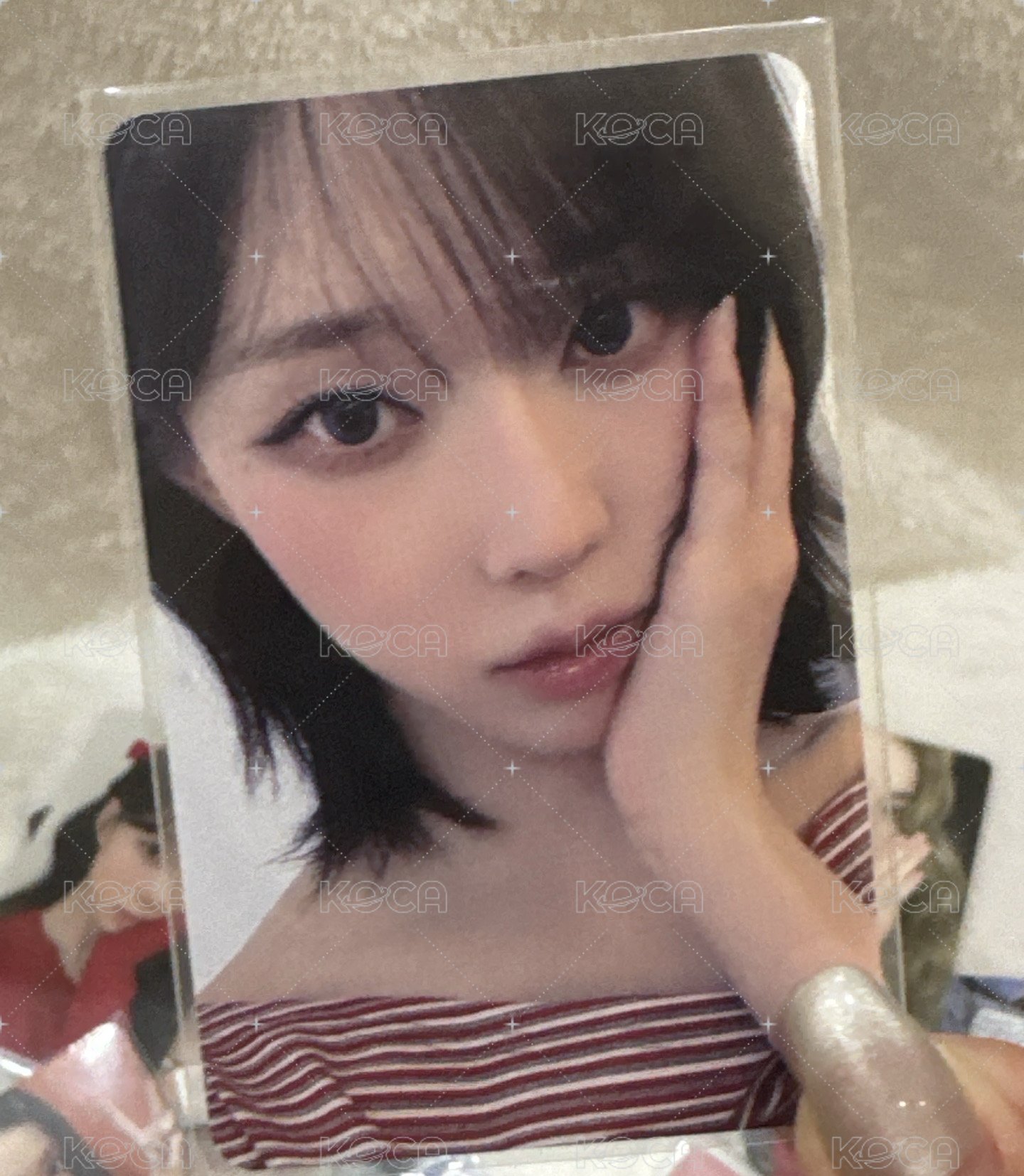 dmm簽售冬冬