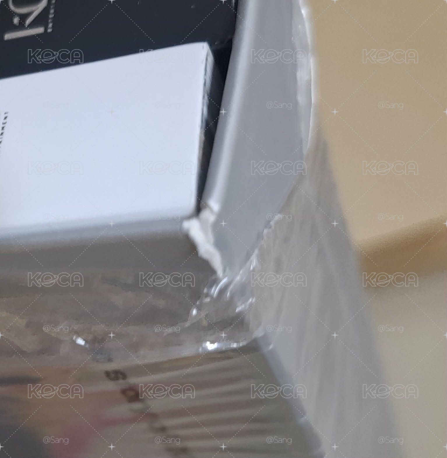 千日寫真 回憶錄