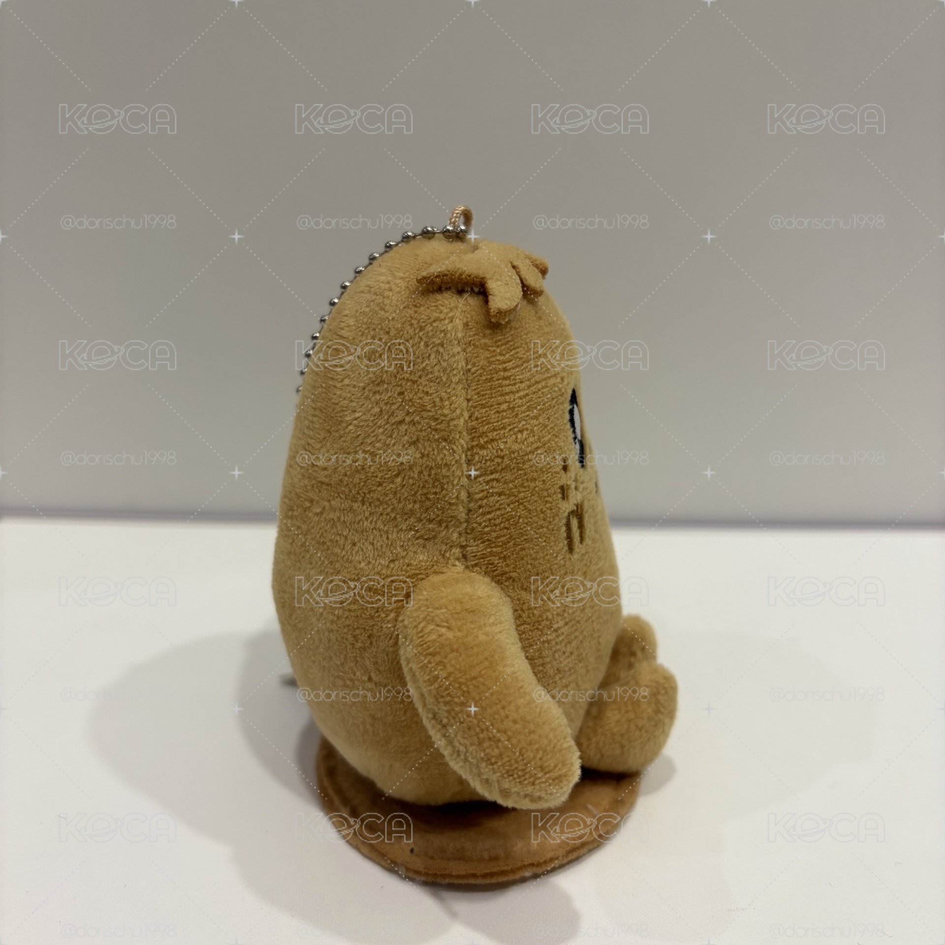 奎坐娃