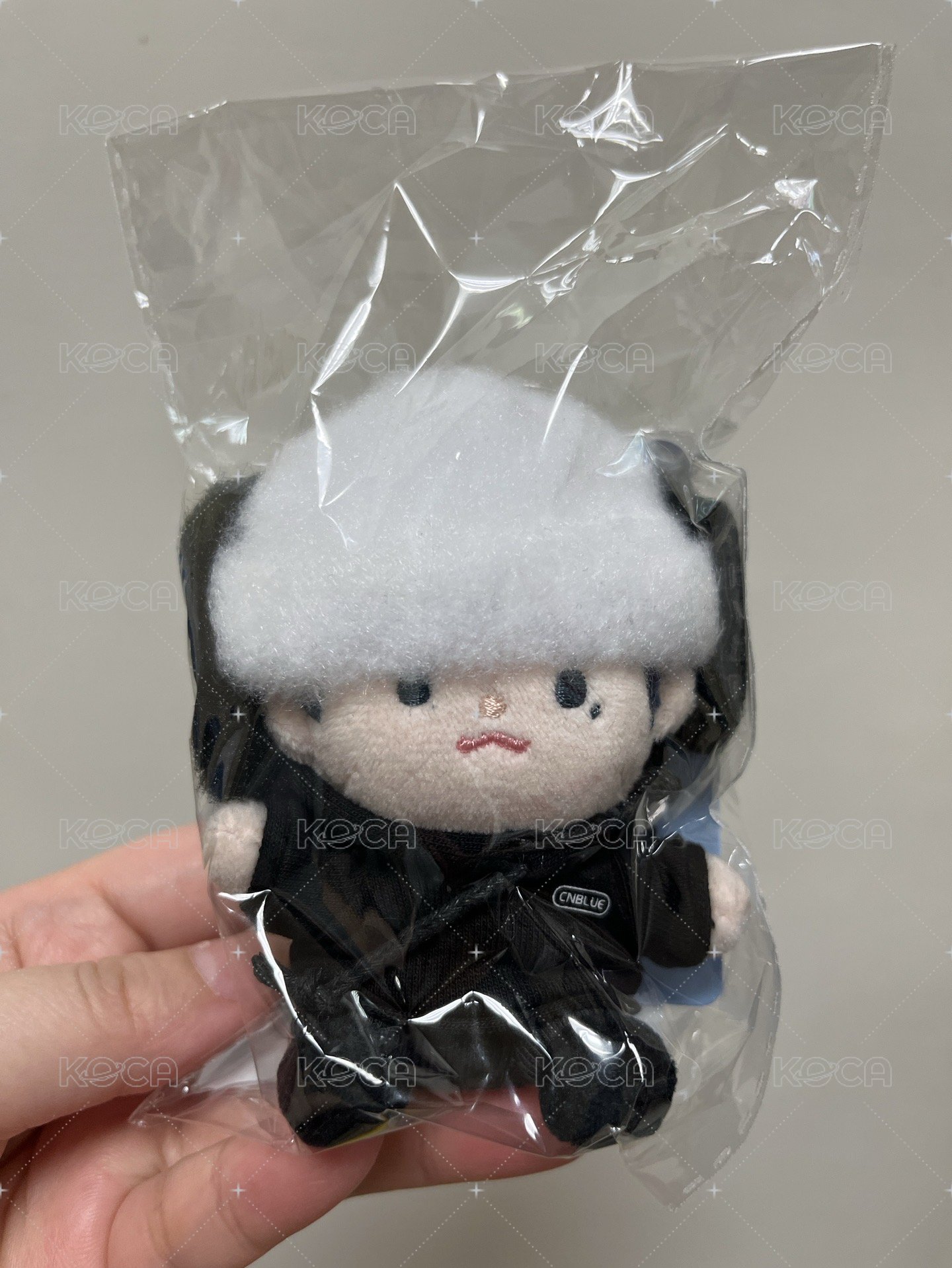 CNBLUECNBLUE OFFICIAL CHARACTER 'MINIBLUE'娃娃玩偶】全新現貨