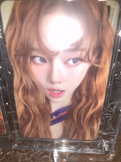 美麗的卷毛冬