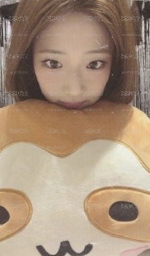 早鳥露綁露小盤