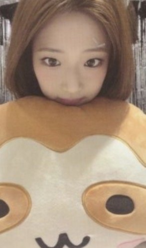 早鳥露綁露小盤