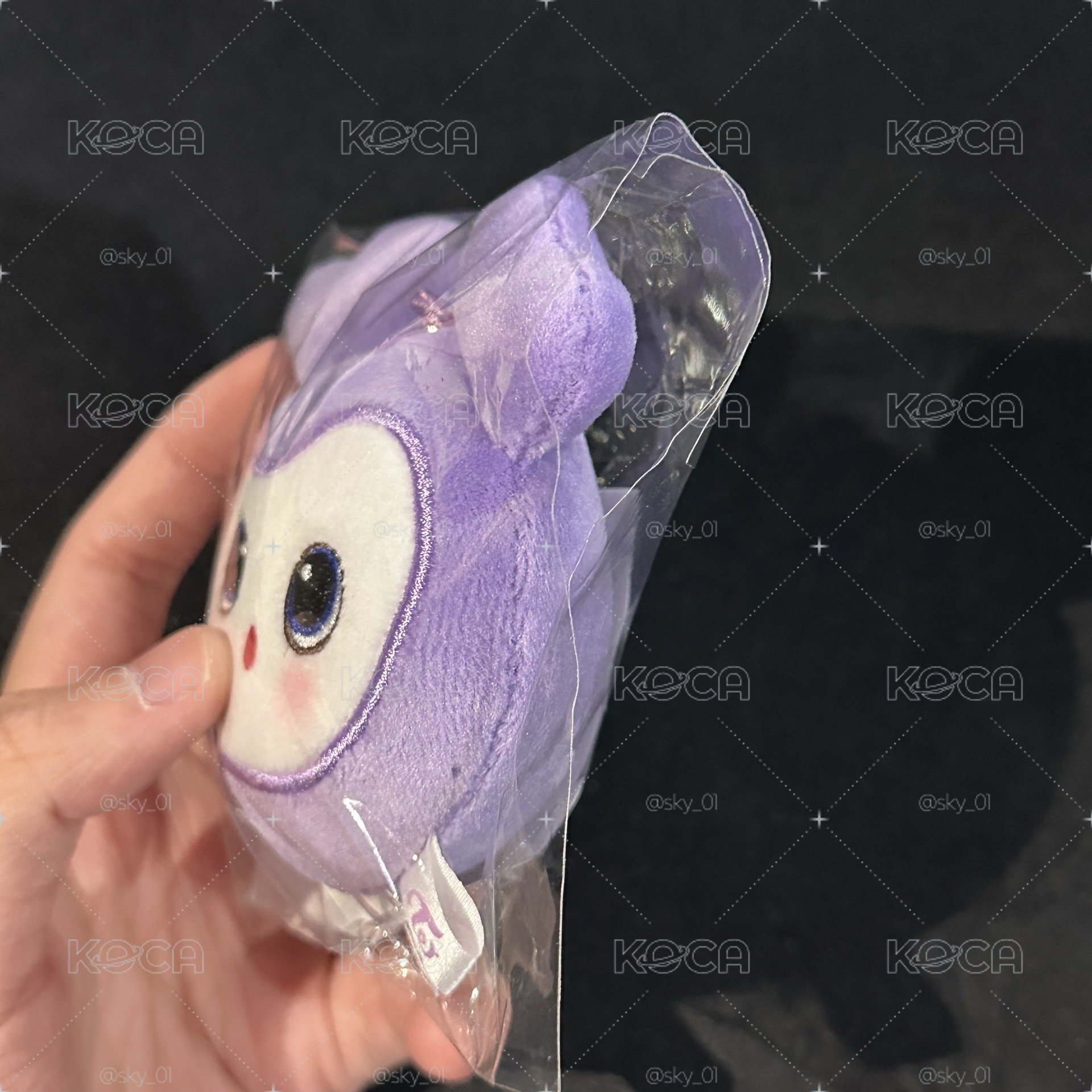 現貨 SANA 大頭