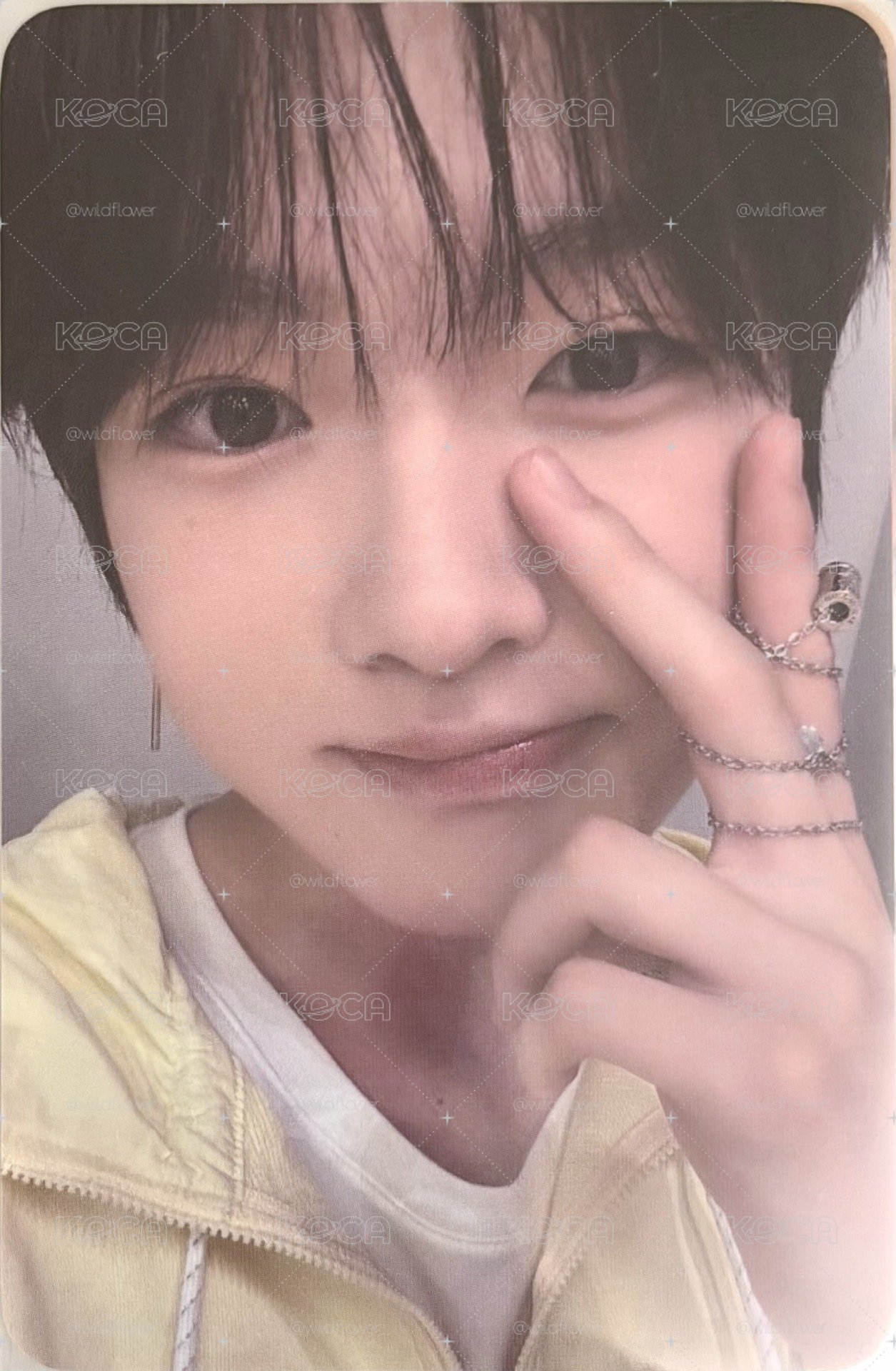 24年Sakuya生日卡