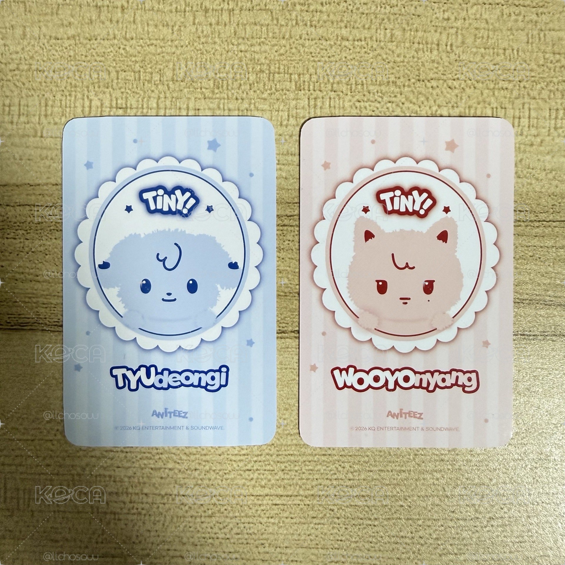 ANITEEZ 色違寶寶娃小卡 潤榮