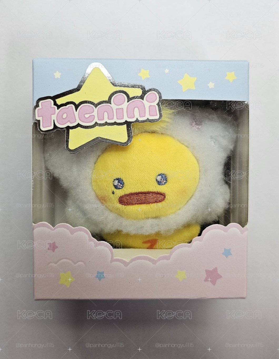 星星泰尼尼