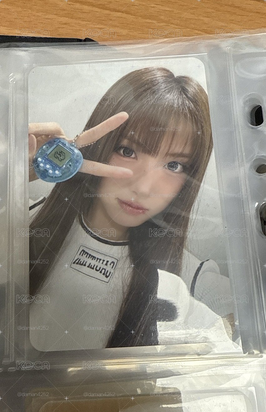 FORWARD ms 線上 16.0 簽售卡 電子寵物友