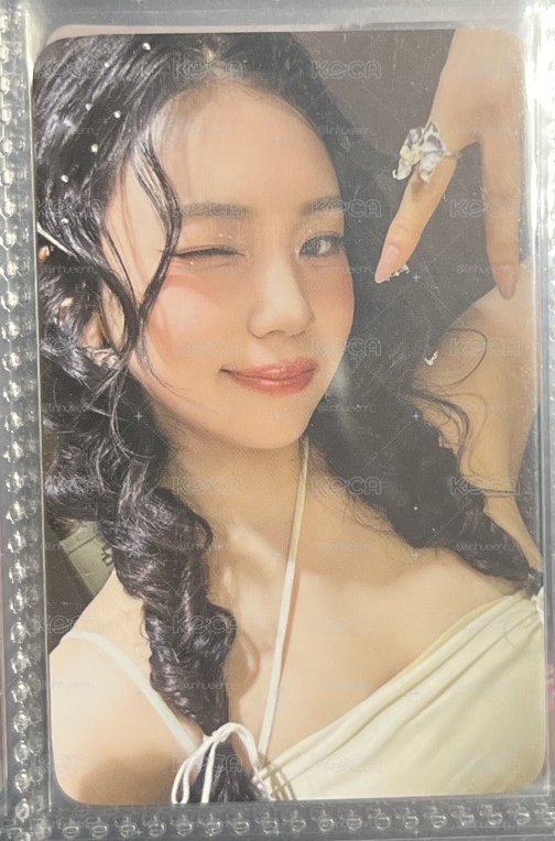 貓貓智