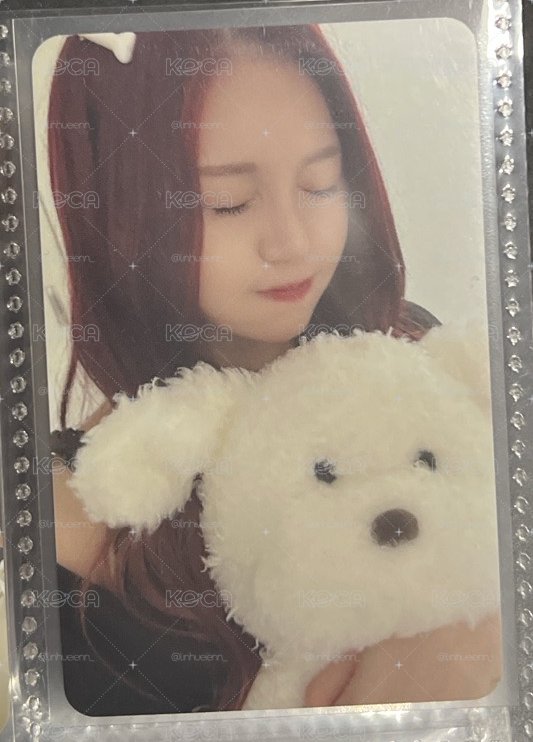 狗狗智
