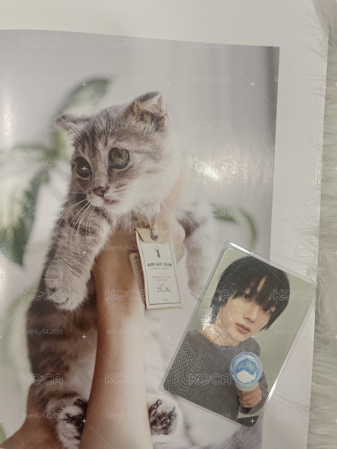 🍀【BND】🐈手燈卡