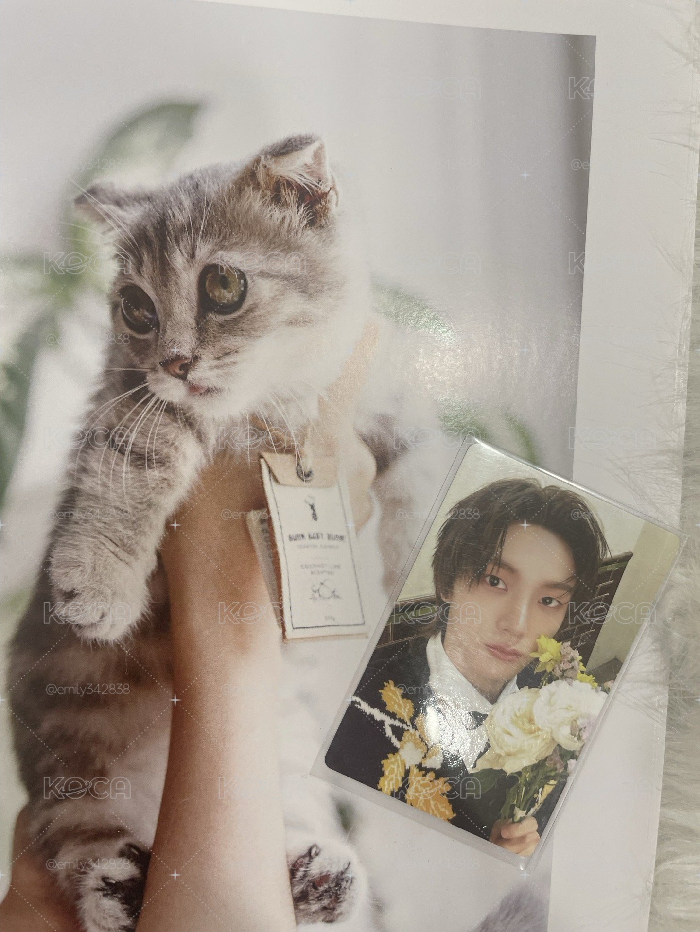 🍀【BND】🐈HOW？專輯卡