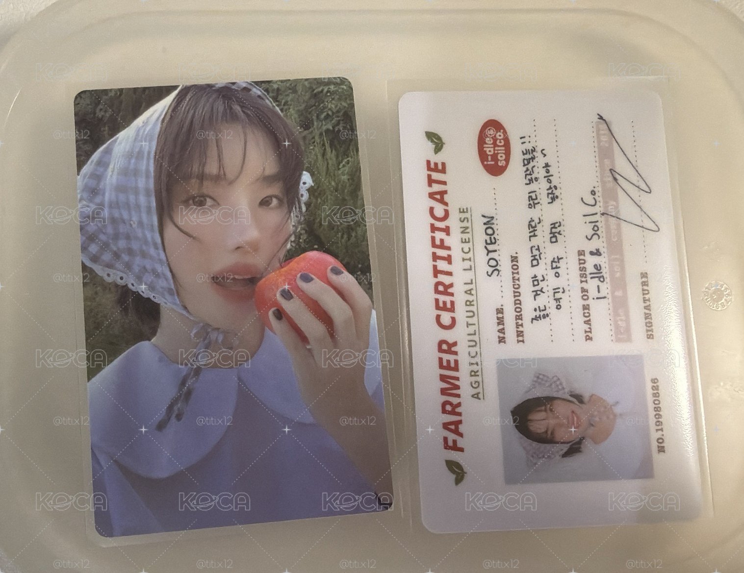 小娟年曆卡