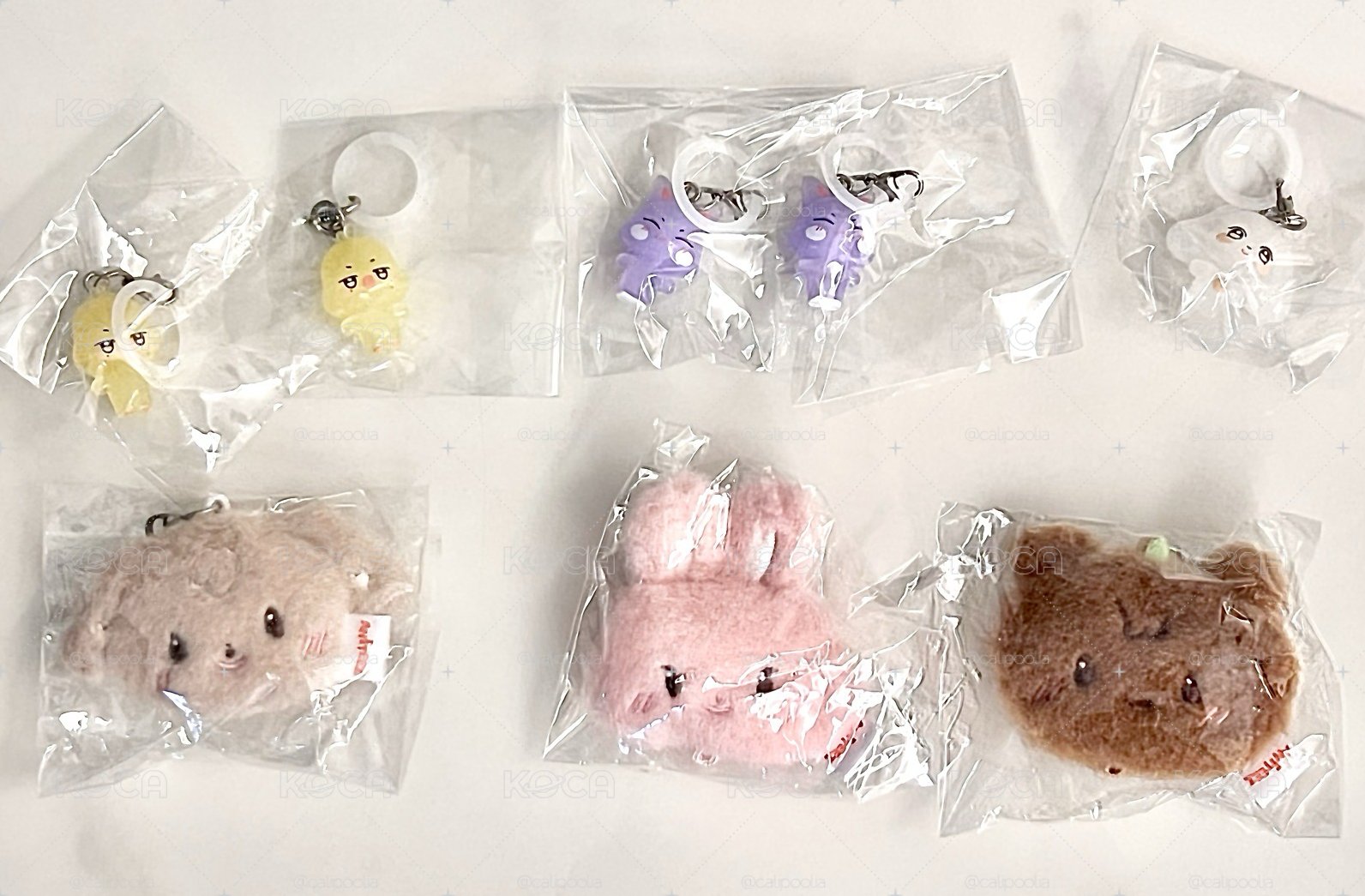 color扭蛋們 現貨在台