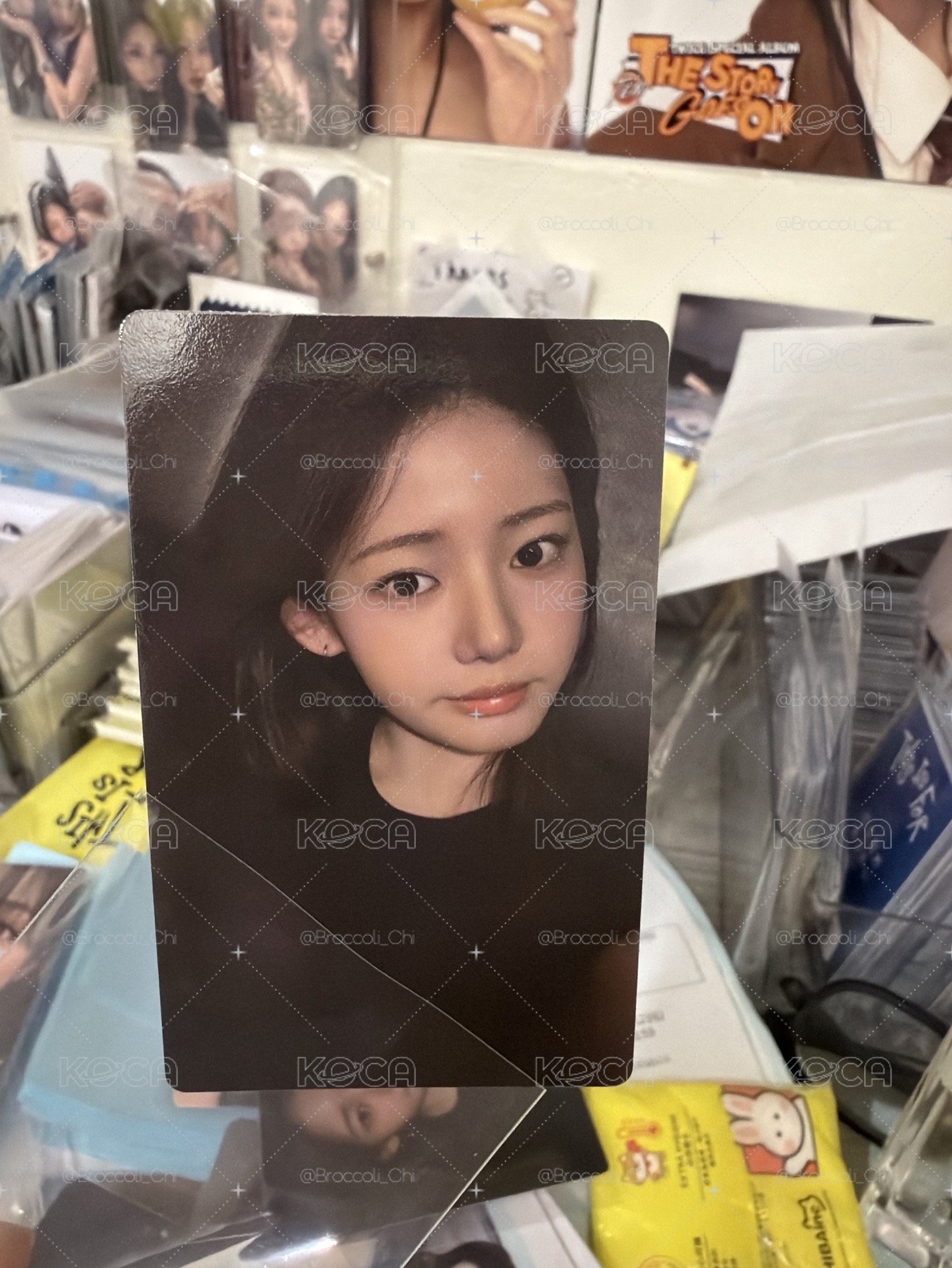現貨｜WVS單封茶