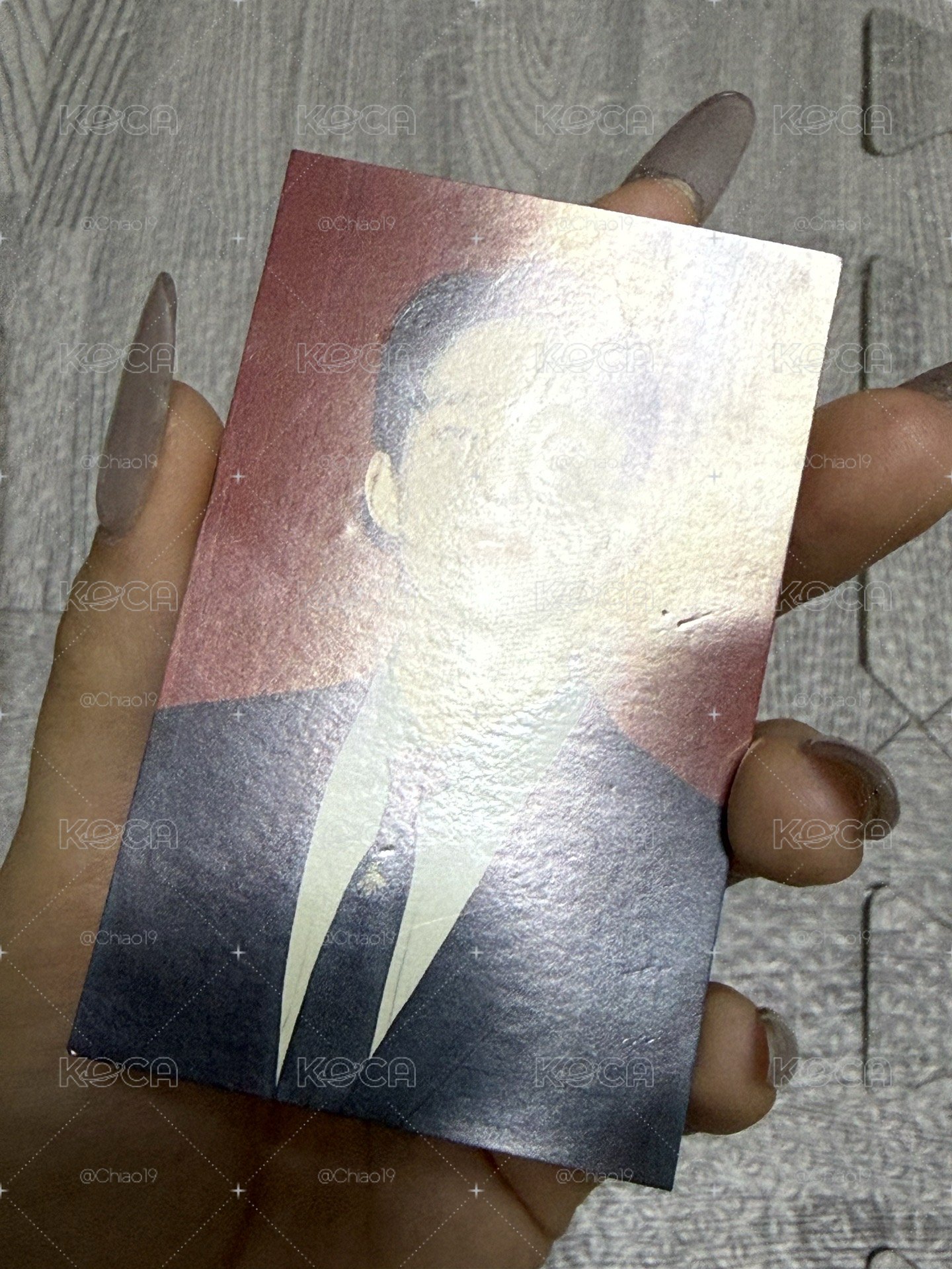 Tma 狗狗碩小盤