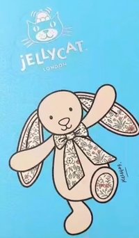 Blossom碎花 Liberty🇬🇧邦尼兔
