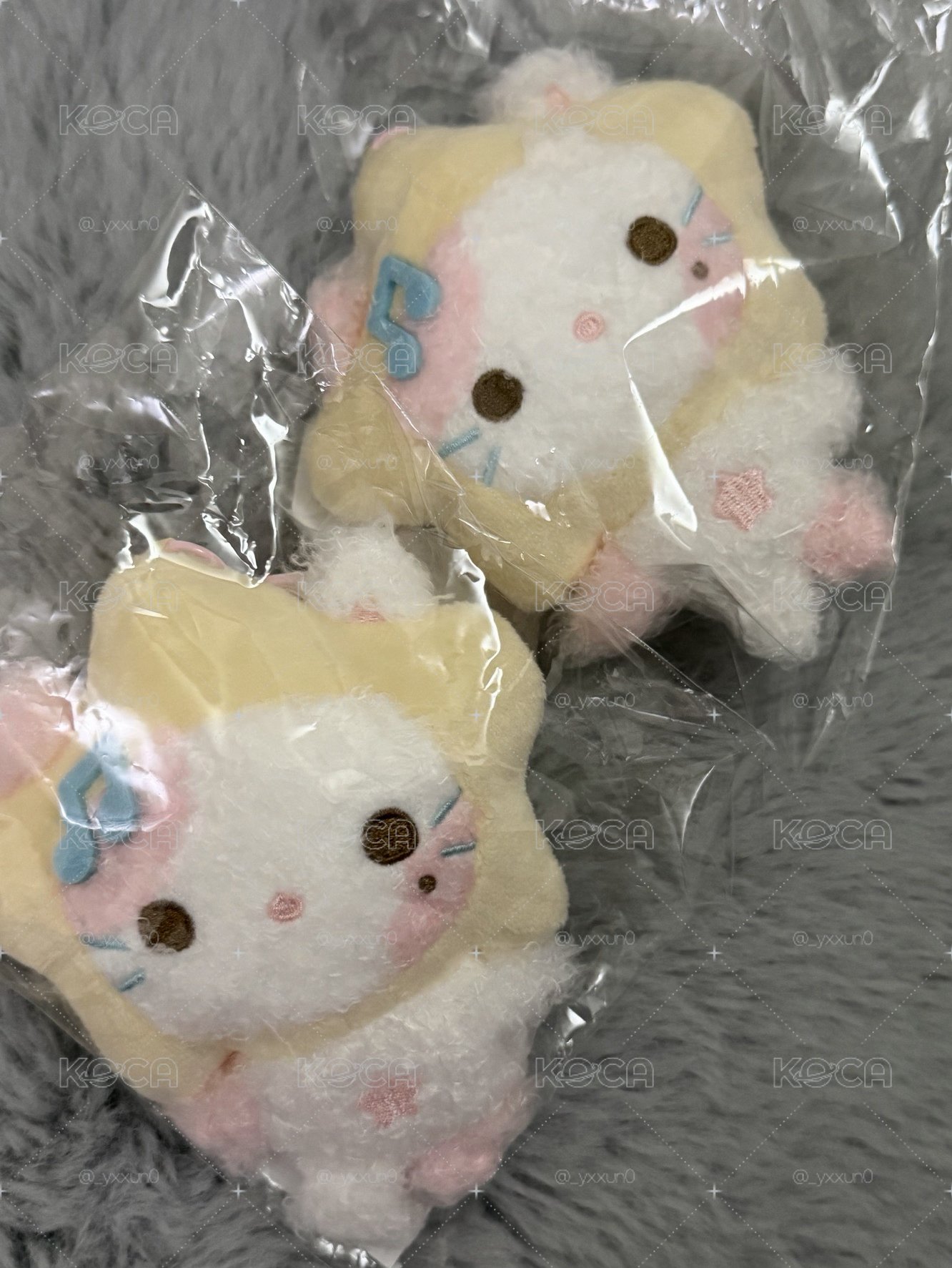現貨星黛貓⭐️ 24小時內出貨🚚
