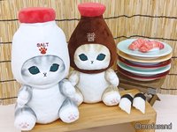 圓滾滾 2026/1/9發售
