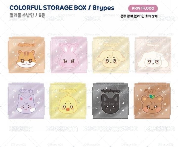 琦／現貨ANITEEZ IN COLOR 收納盒/箱 COLORFUL STORAGE BOX