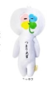 四葉草 彩色