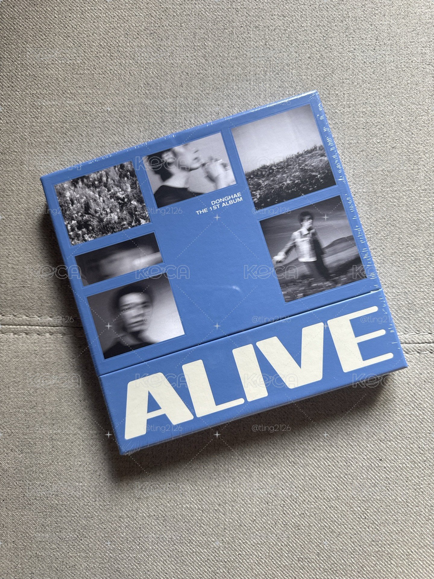 1ST ALBUM ALIVE PB ver. 專輯 
