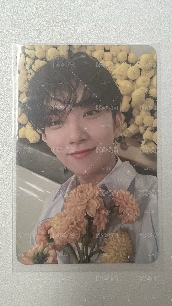 seventeen 洪知秀 joshua 捧花秀 迷八