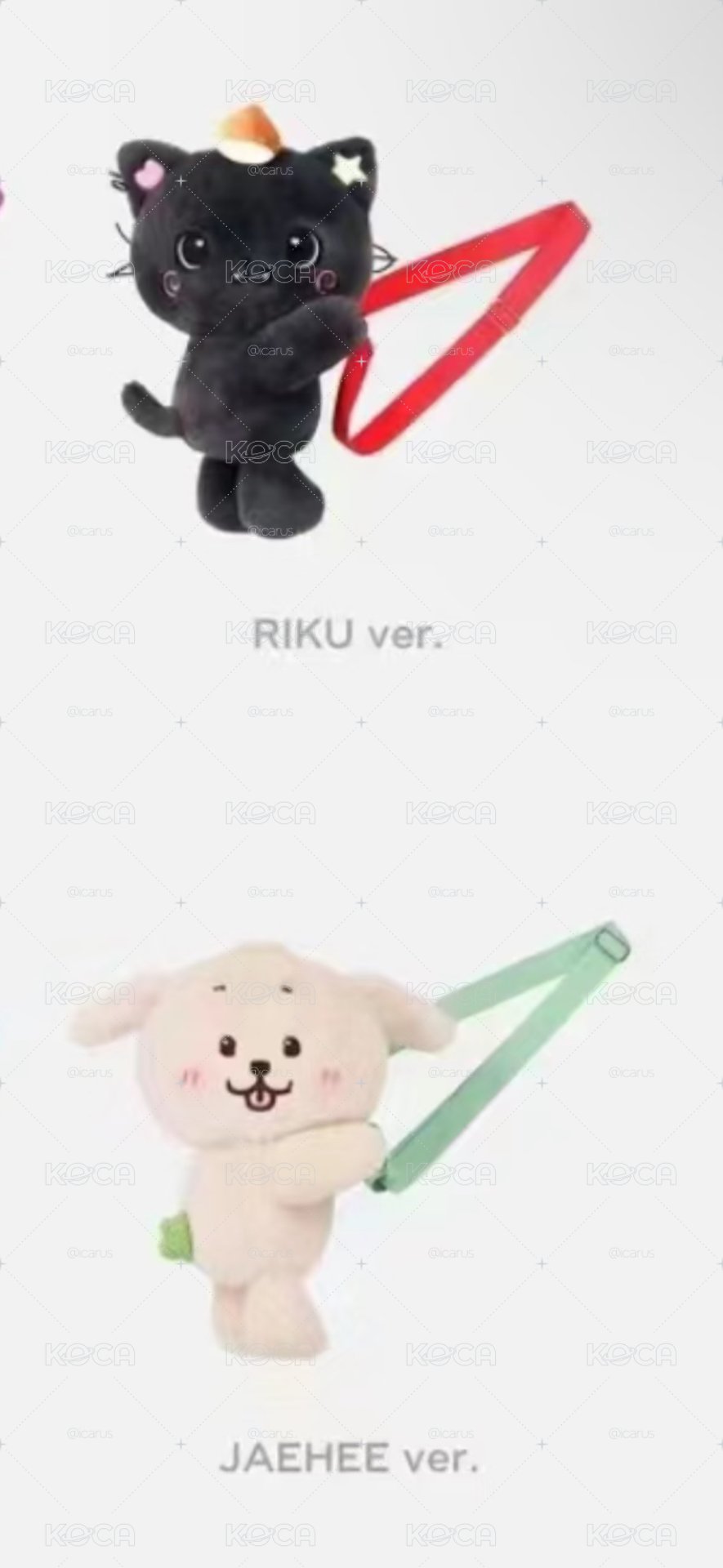 全新有原袋 Riku + Jaehee 娃包 