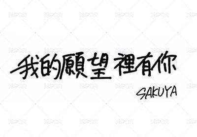 NCTWISH彩帶