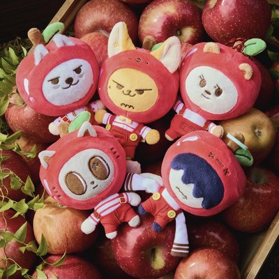 PPULBATU <Hey! APPUL> 線上團周邊
