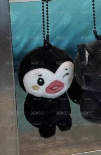 朋哉坐娃