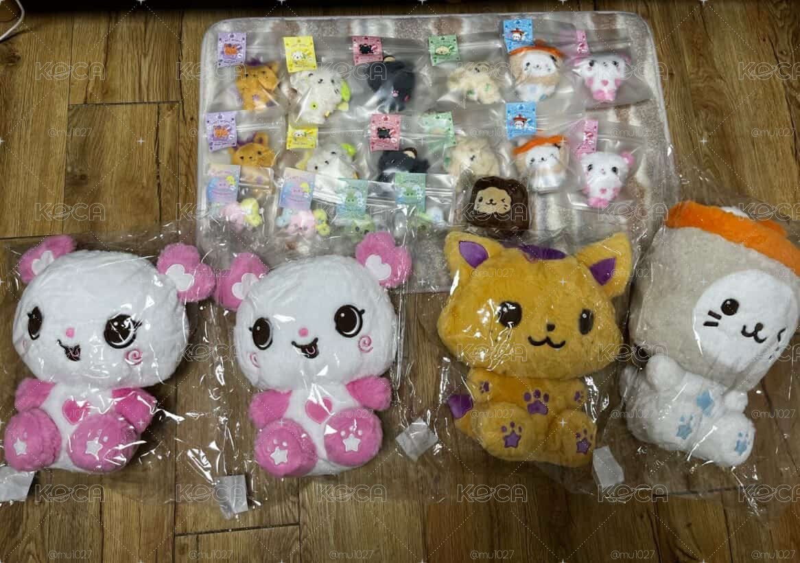 現貨wish口袋娃/烘培滿額卡
