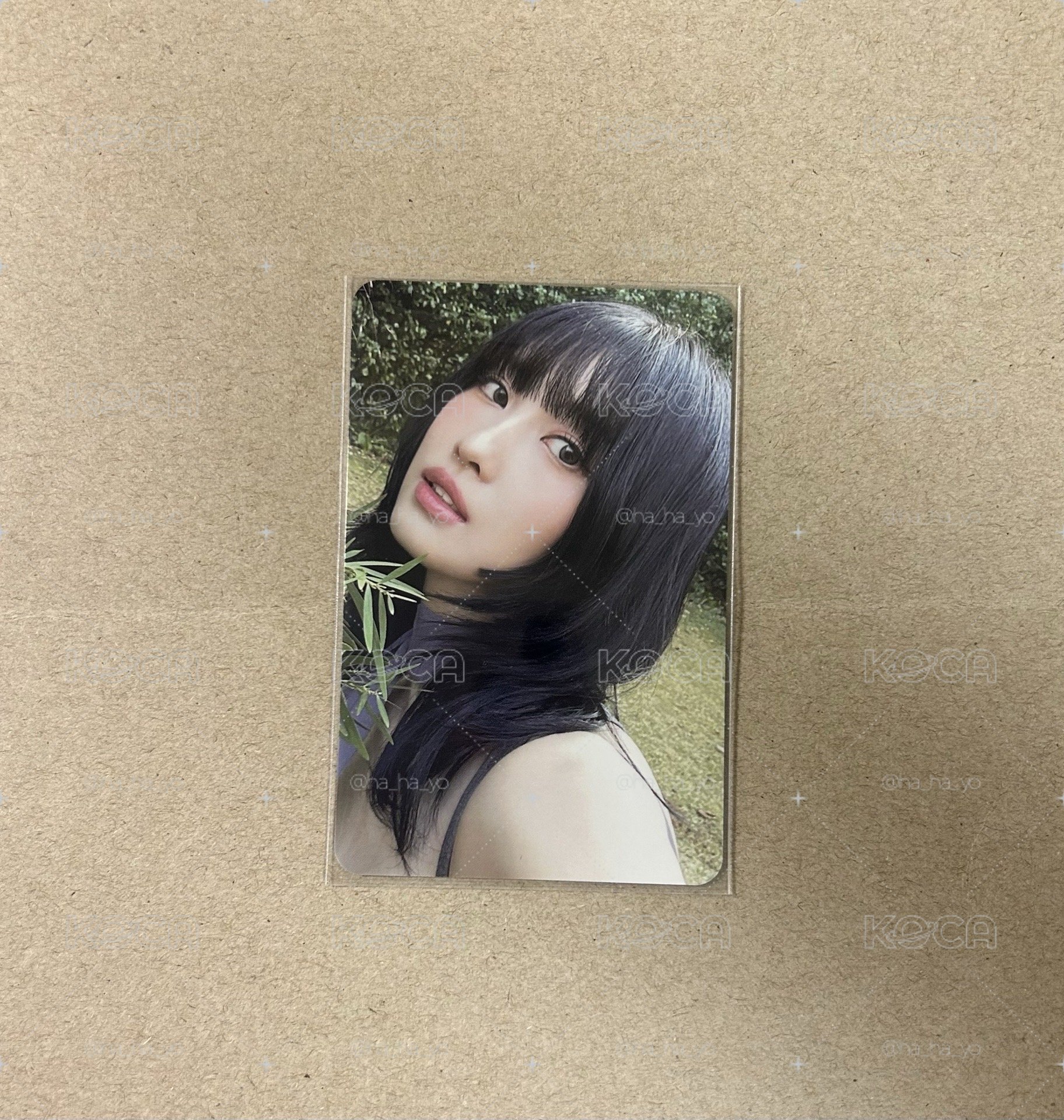 MOMO｜With You-th 